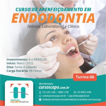 Visualizar